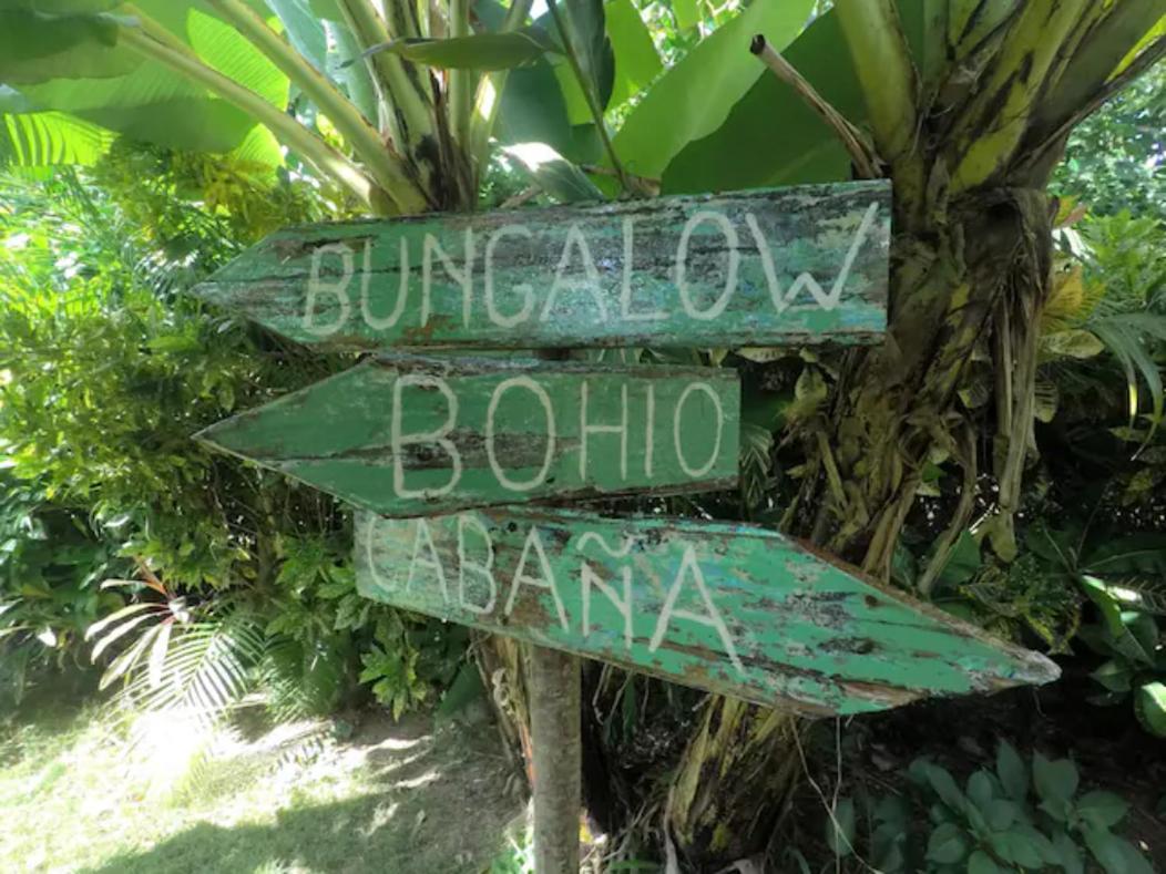 Hotel Dream Glamping Jungle Bohio Las Terrenas Zewnętrze zdjęcie
