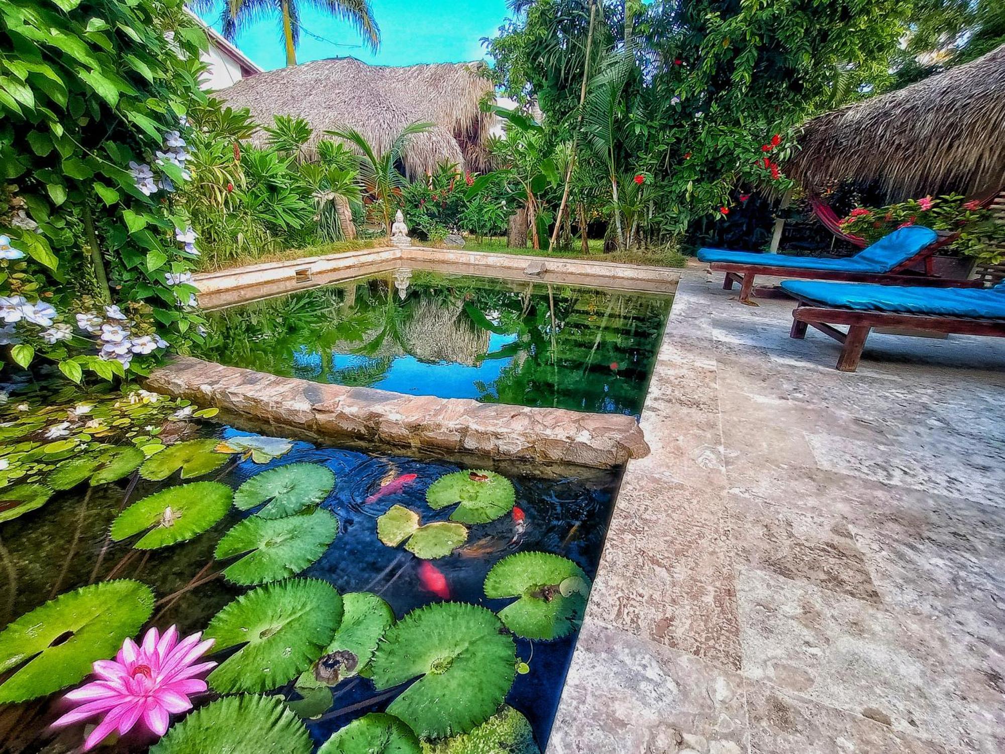 Hotel Dream Glamping Jungle Bohio Las Terrenas Zewnętrze zdjęcie
