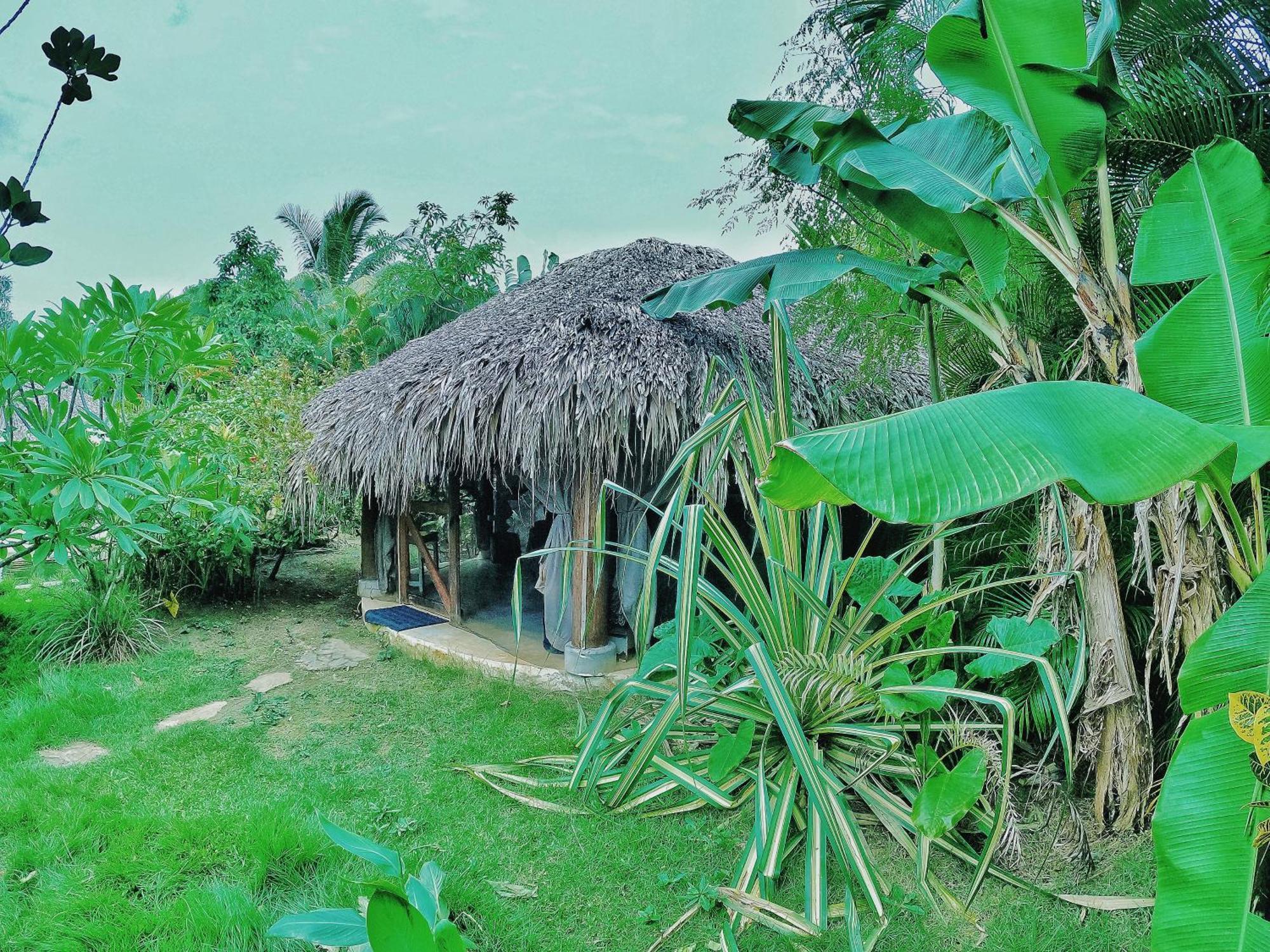 Hotel Dream Glamping Jungle Bohio Las Terrenas Zewnętrze zdjęcie
