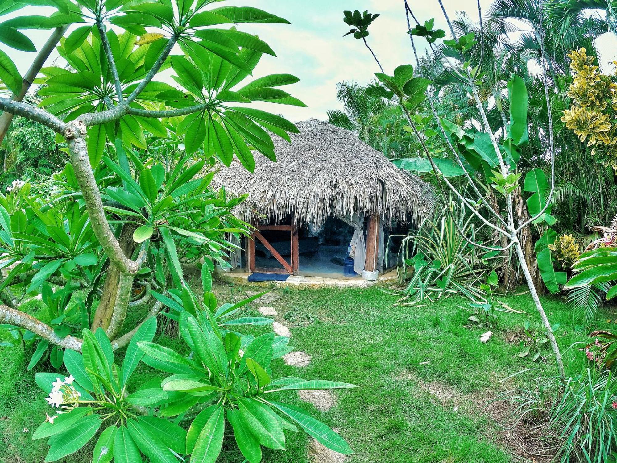 Hotel Dream Glamping Jungle Bohio Las Terrenas Zewnętrze zdjęcie